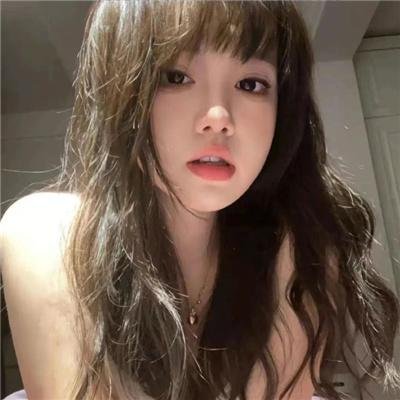 鹬